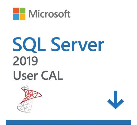 Microsoft SQL Server 2019 1 User CAL OLP Volume Licencie